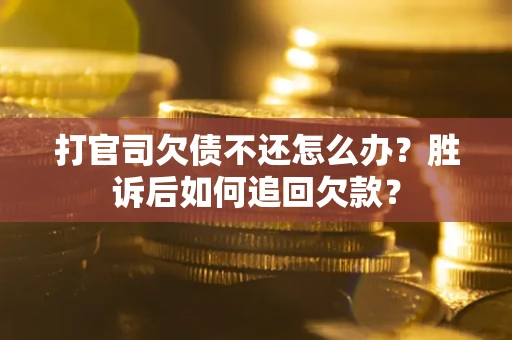 武汉打官司欠债不还怎么办？胜诉后如何追回欠款？
