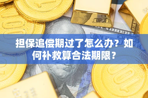 武汉担保追偿期过了怎么办？如何补救算合法期限？