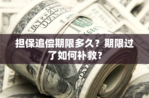 武汉担保追偿期限多久？期限过了如何补救？