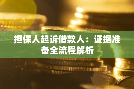 武汉担保人起诉借款人：证据准备全流程解析