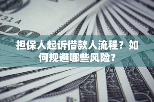 武汉担保人起诉借款人流程？如何规避哪些风险？