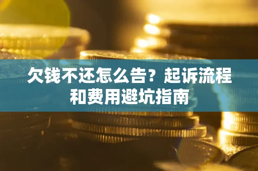 武汉欠钱不还怎么告？起诉流程和费用避坑指南