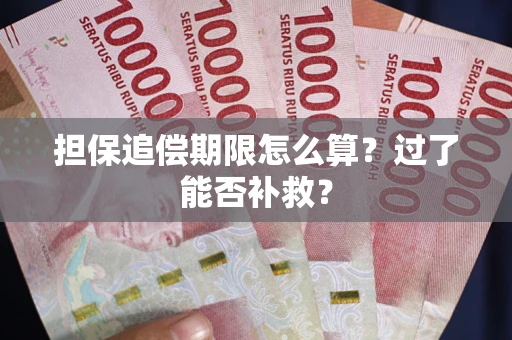 武汉担保追偿期限怎么算？过了能否补救？